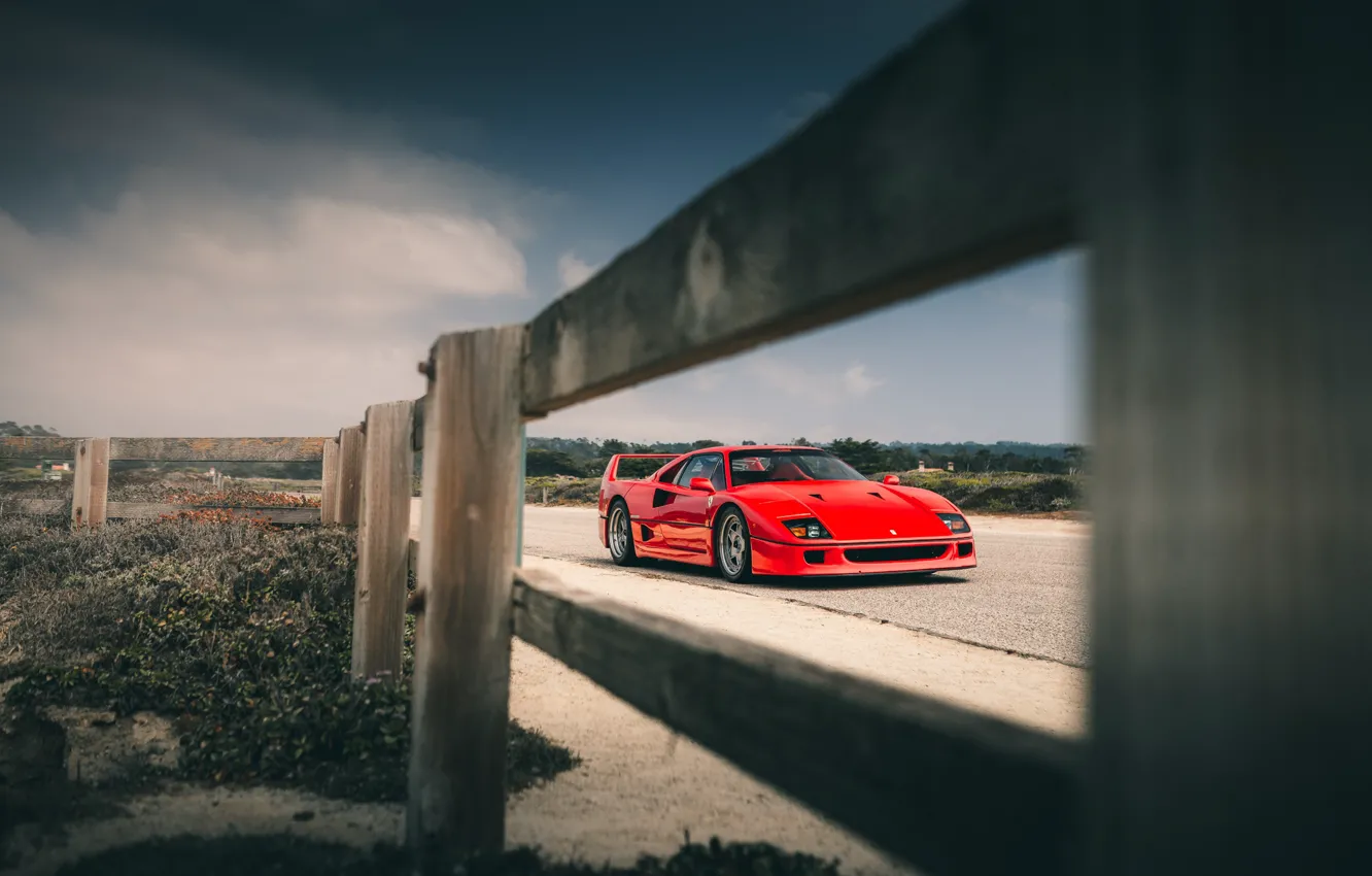 Photo wallpaper Ferrari, Red, F40