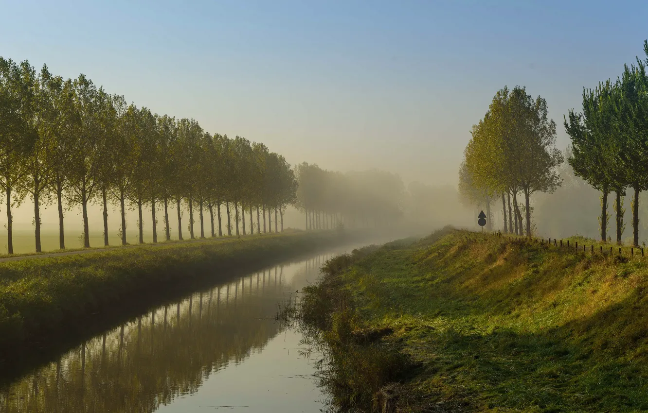 Photo wallpaper trees, fog, island, channel, Netherlands, Goeree-Overflakkee