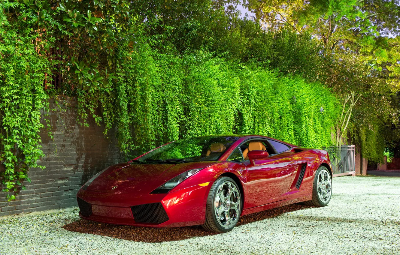 Photo wallpaper Lamborghini, wheels, Red, Gallardo, hrome