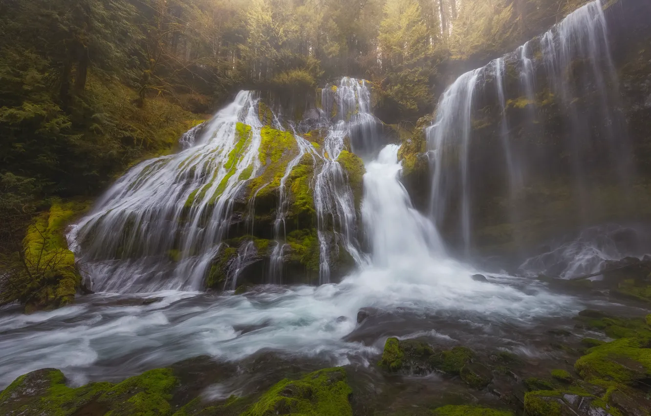Photo wallpaper forest, waterfall, cascade, Washington, Washington, Columbia River Gorge, Panther Creek Falls, Gifford Pinchot National Forest