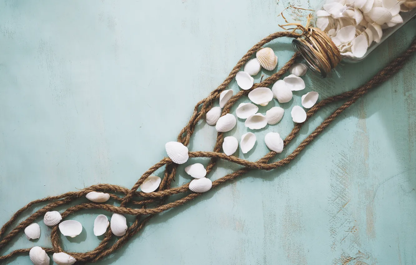 Photo wallpaper shell, summer, beach, wood, marine, seashells