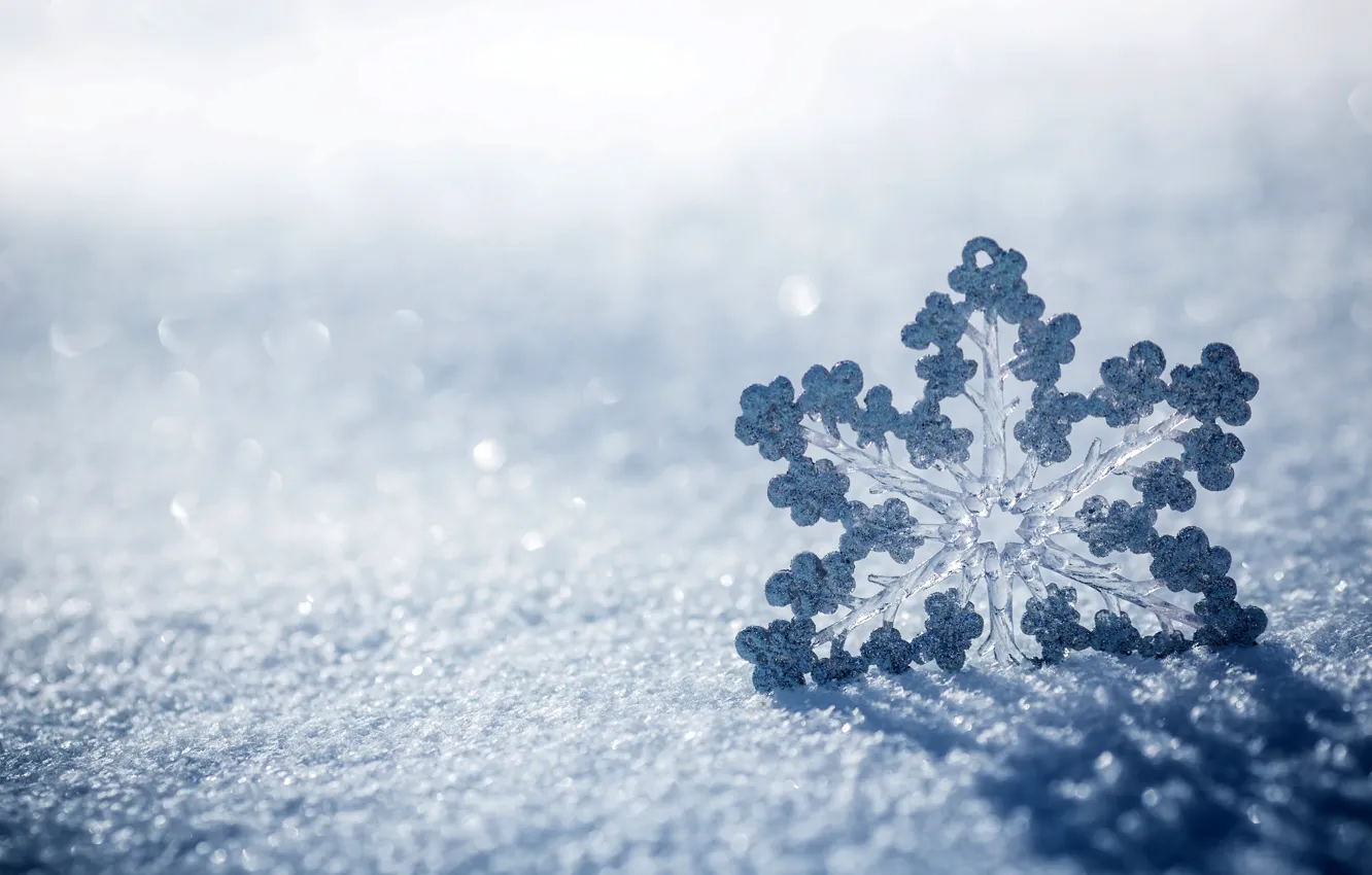 Photo wallpaper ice, winter, macro, snow, snowflakes, nature