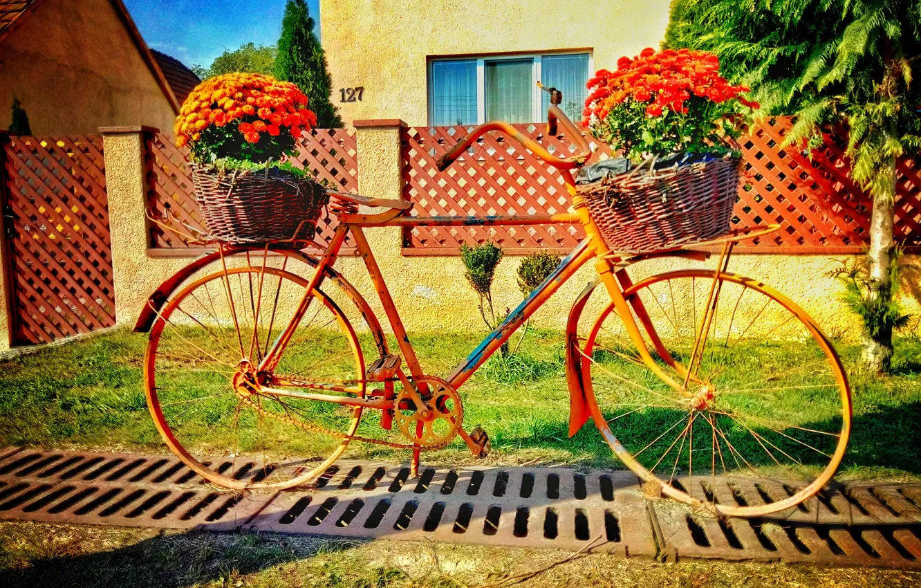 Photo wallpaper summer, flowers, bike