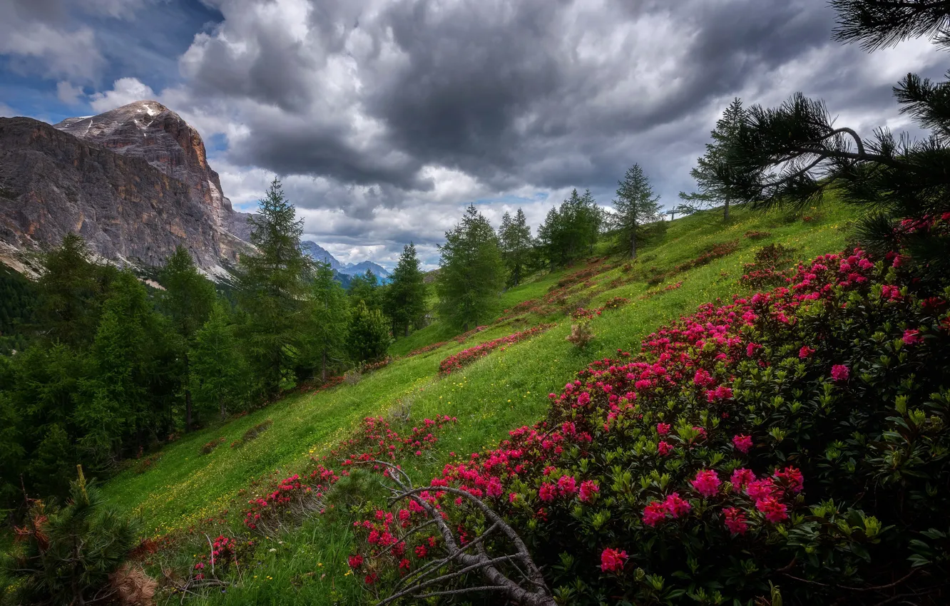 Photo wallpaper nature, Dolomites, Mountain landscape, Falzarego pass