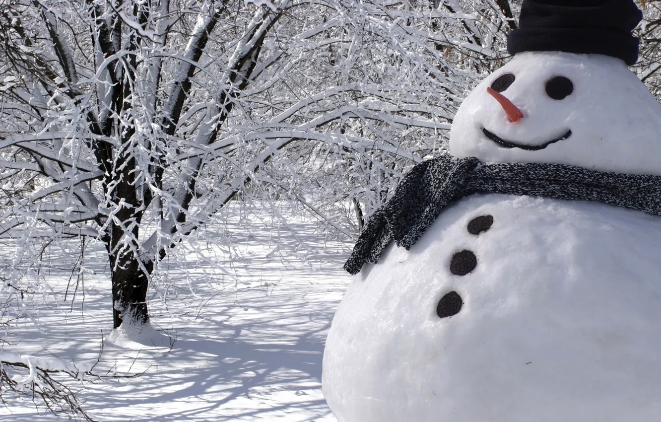Photo wallpaper winter, forest, snow, carrot, frost, snowman, HAT.SCARF