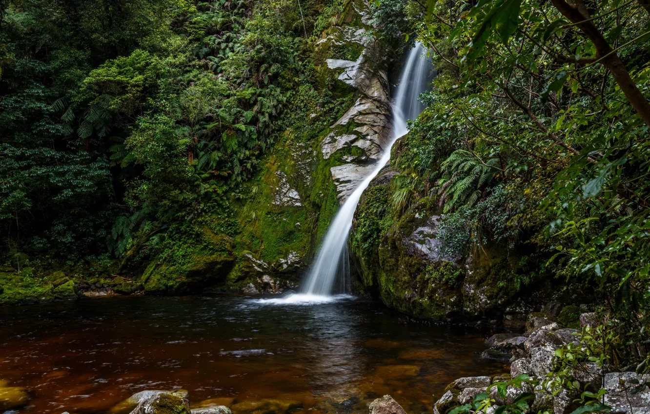 Photo wallpaper waterfall, the bushes, moss, New Zealand, forest, Hokitika, stream, stones