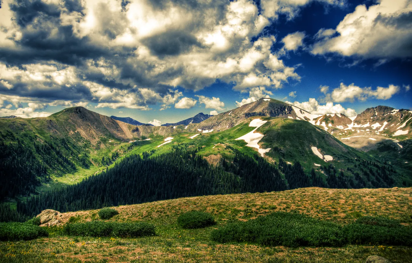 Photo wallpaper field, the sky, clouds, trees, landscape, mountains, nature