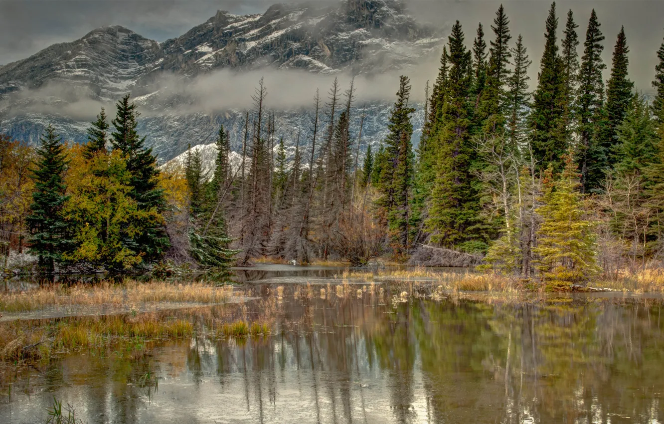 Photo wallpaper autumn, water, trees, mountains, nature, fog, lake, pond