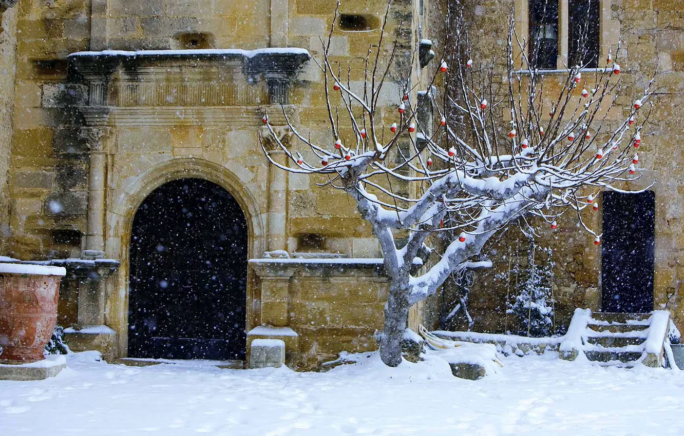 Photo wallpaper tree, France, Christmas, yard, Vaucluse, the castle of Lourmarin