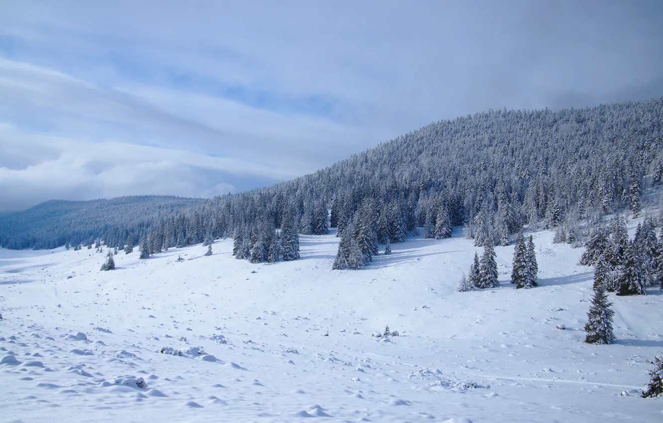 Photo wallpaper winter, field, forest, the sky, clouds, snow, mountains, hills