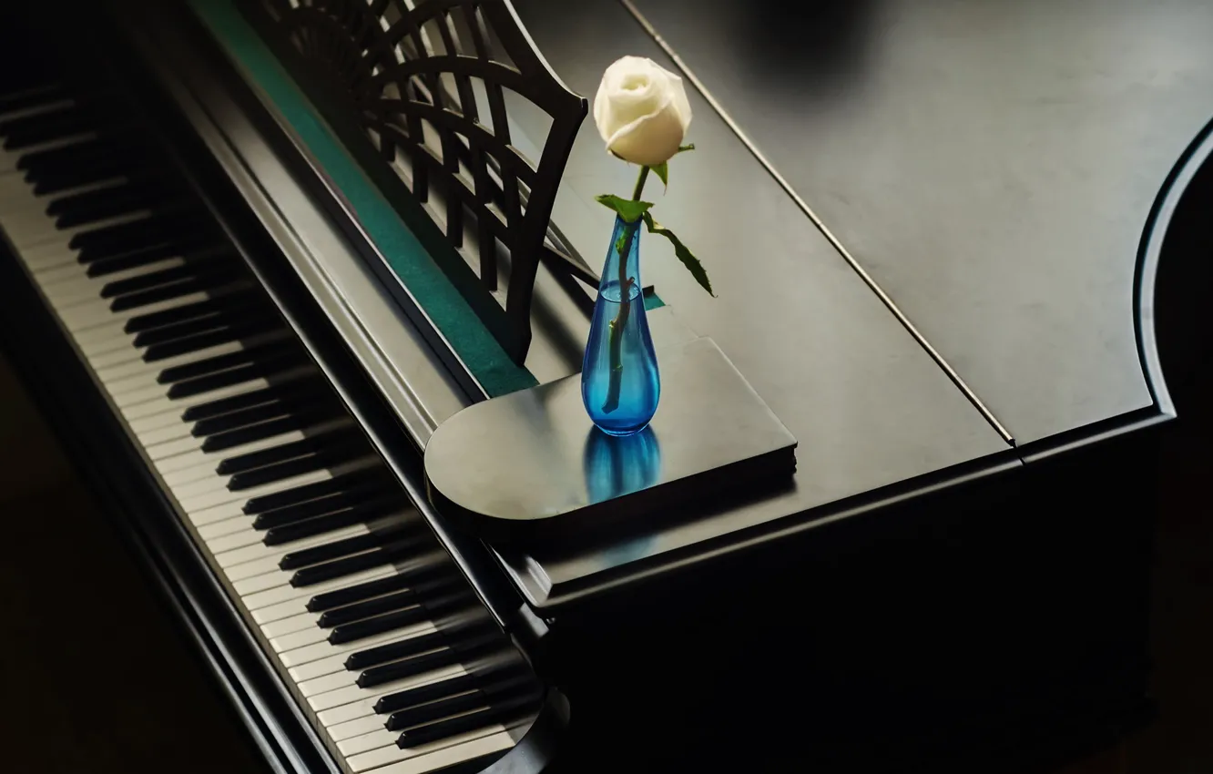 Photo wallpaper flower, music, piano