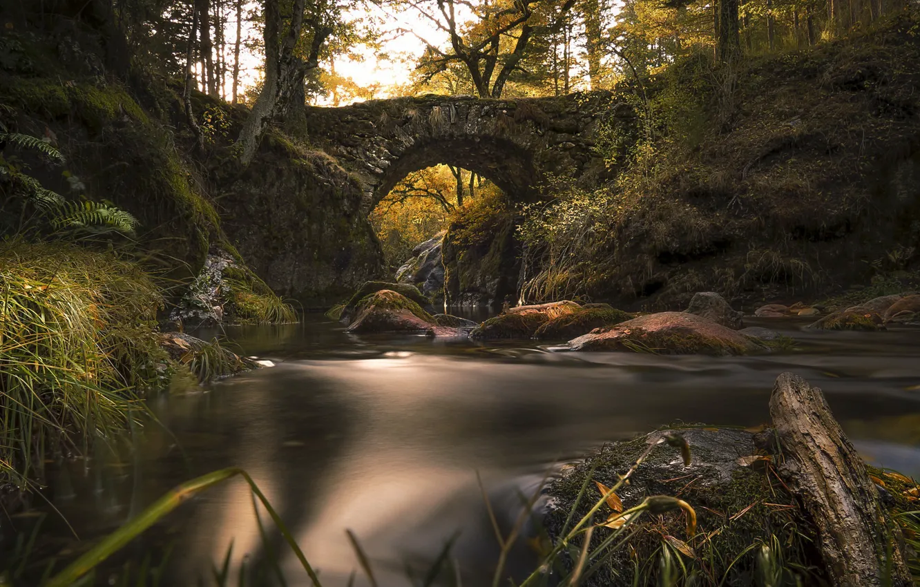 Photo wallpaper bridge, nature, river
