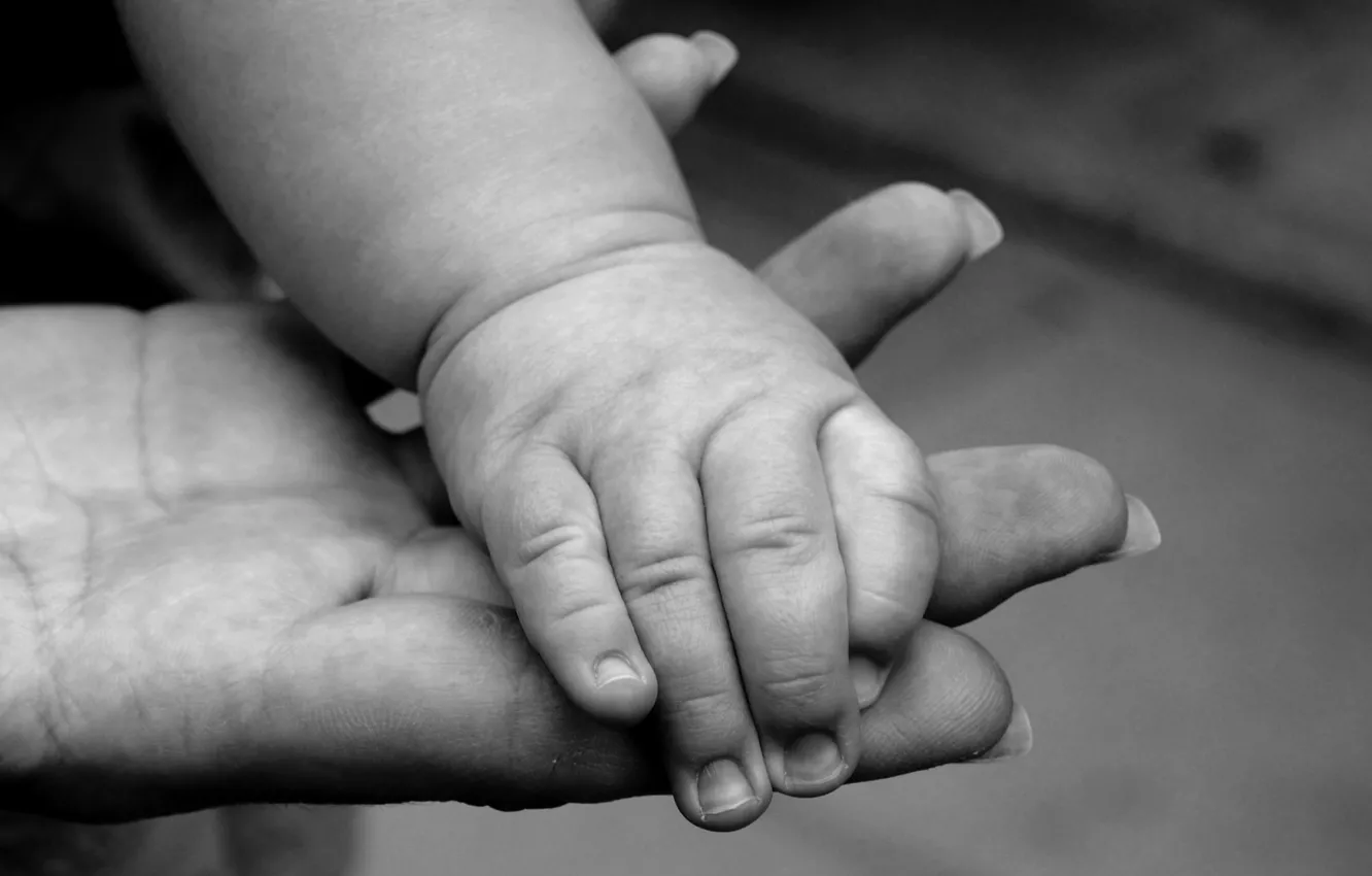Photo wallpaper child, black and white, hands, family