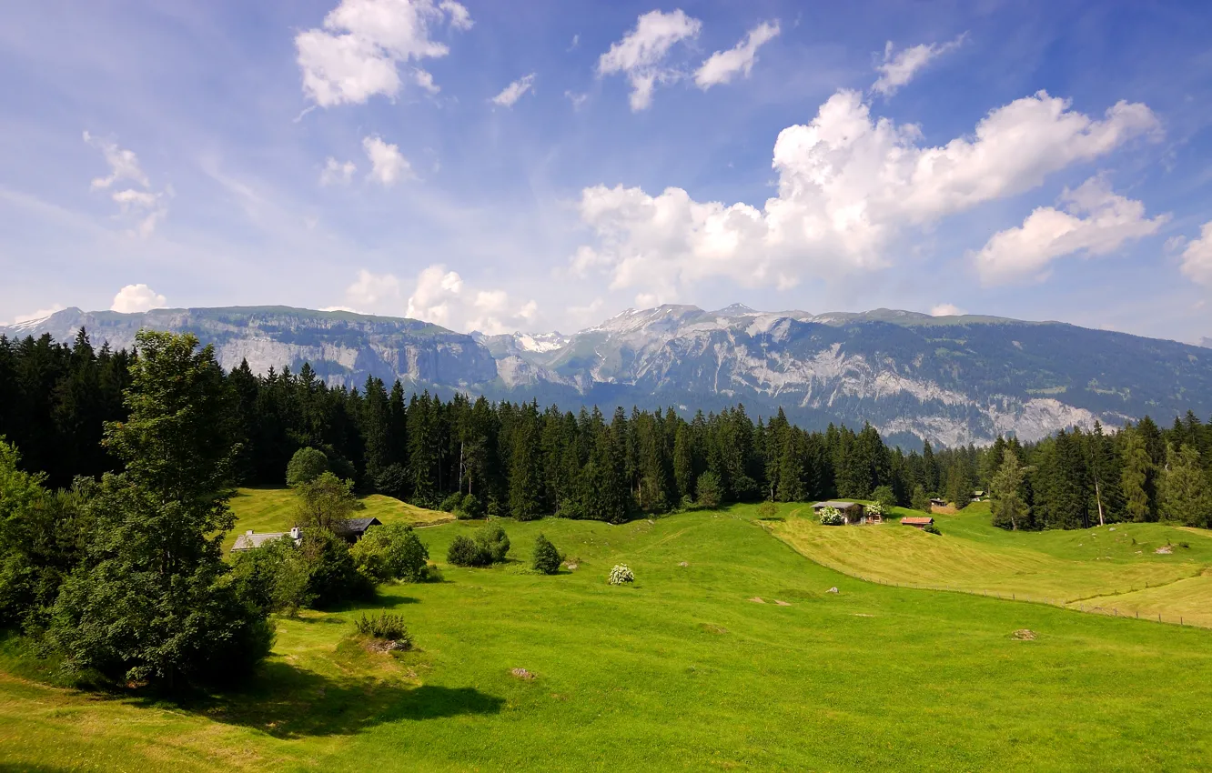 Photo wallpaper field, forest, clouds, mountains, Switzerland, meadow