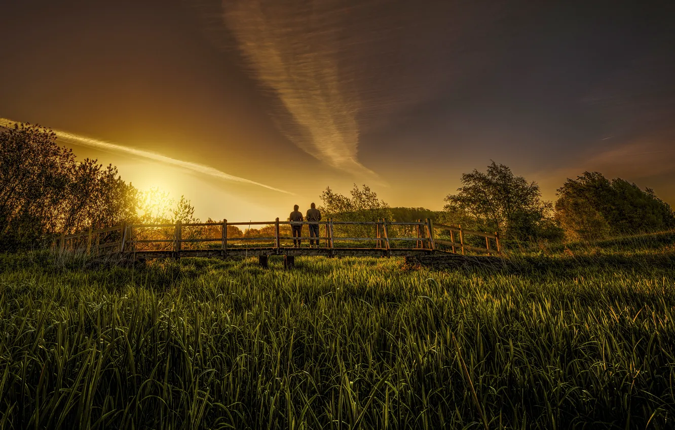 Photo wallpaper grass, girl, sunset, bridge, nature, the evening, pair, guy