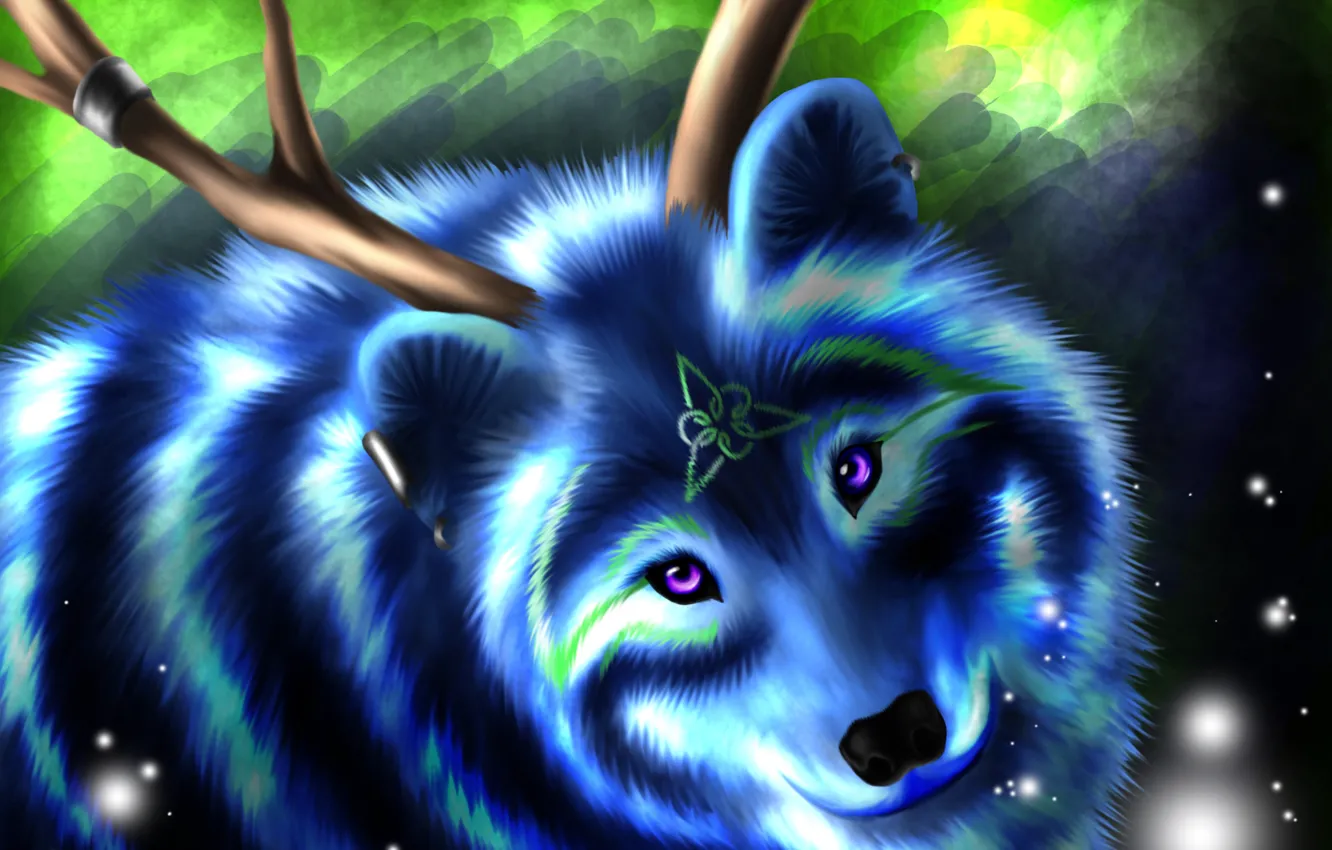 Photo wallpaper look, face, blue, animal, wolf, wool, symbol, horns