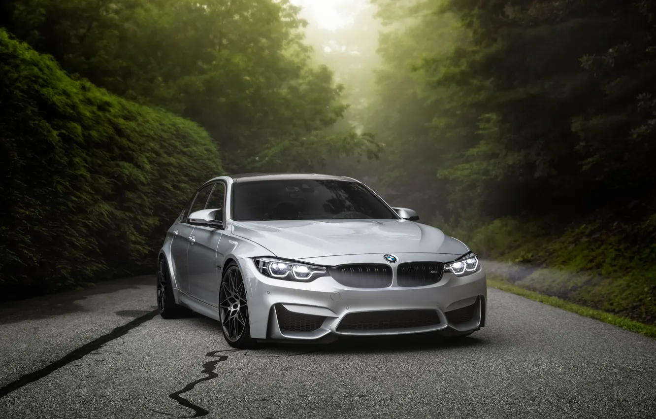 Photo wallpaper BMW, Road, Silver, Forest, F80