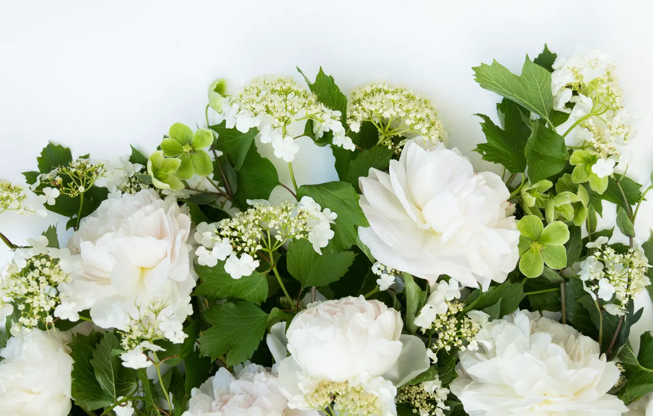 Photo wallpaper flowers, background, bouquet, frame, flowers, bundle