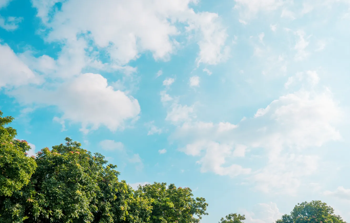 Photo wallpaper HDR, wide, Sony, sky, Day, clouds, India, sunny