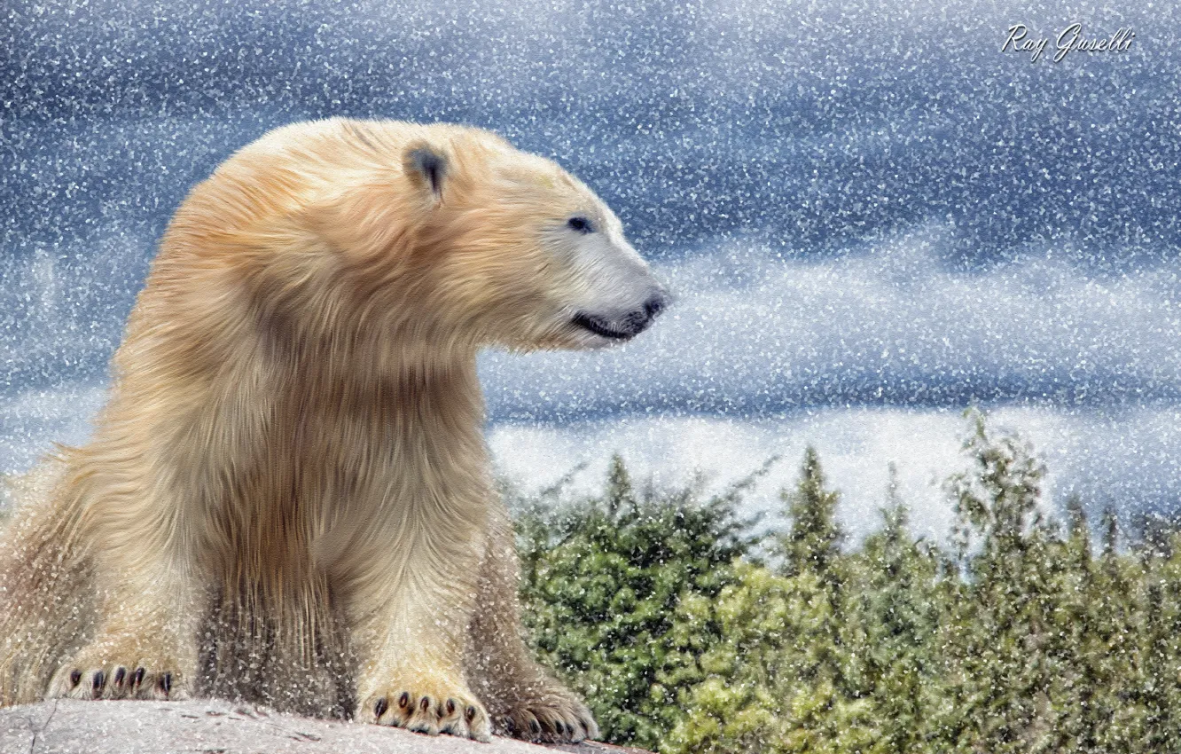 Photo wallpaper winter, snow, bear, polar