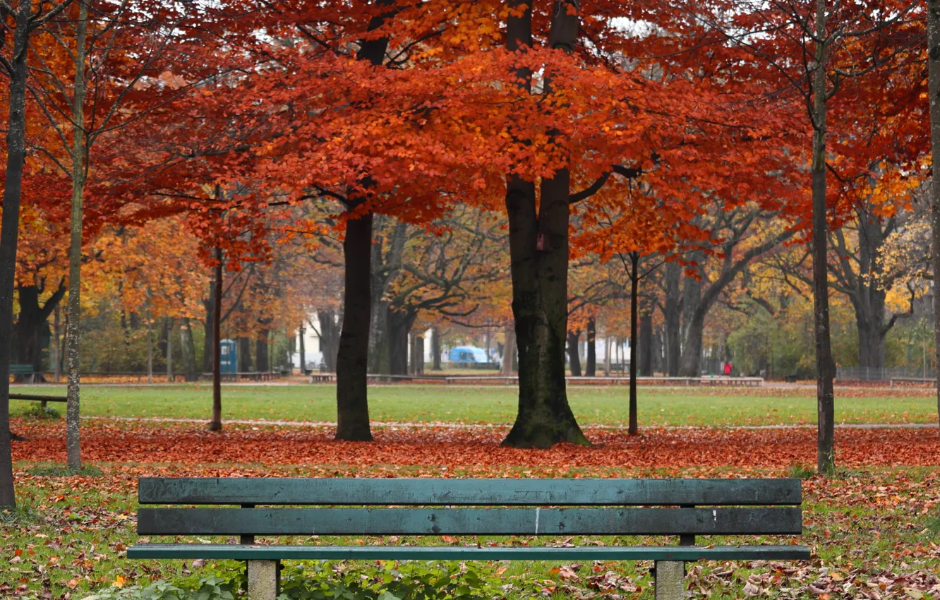Photo wallpaper autumn, leaves, trees, bench, Park, colorful, nature, park