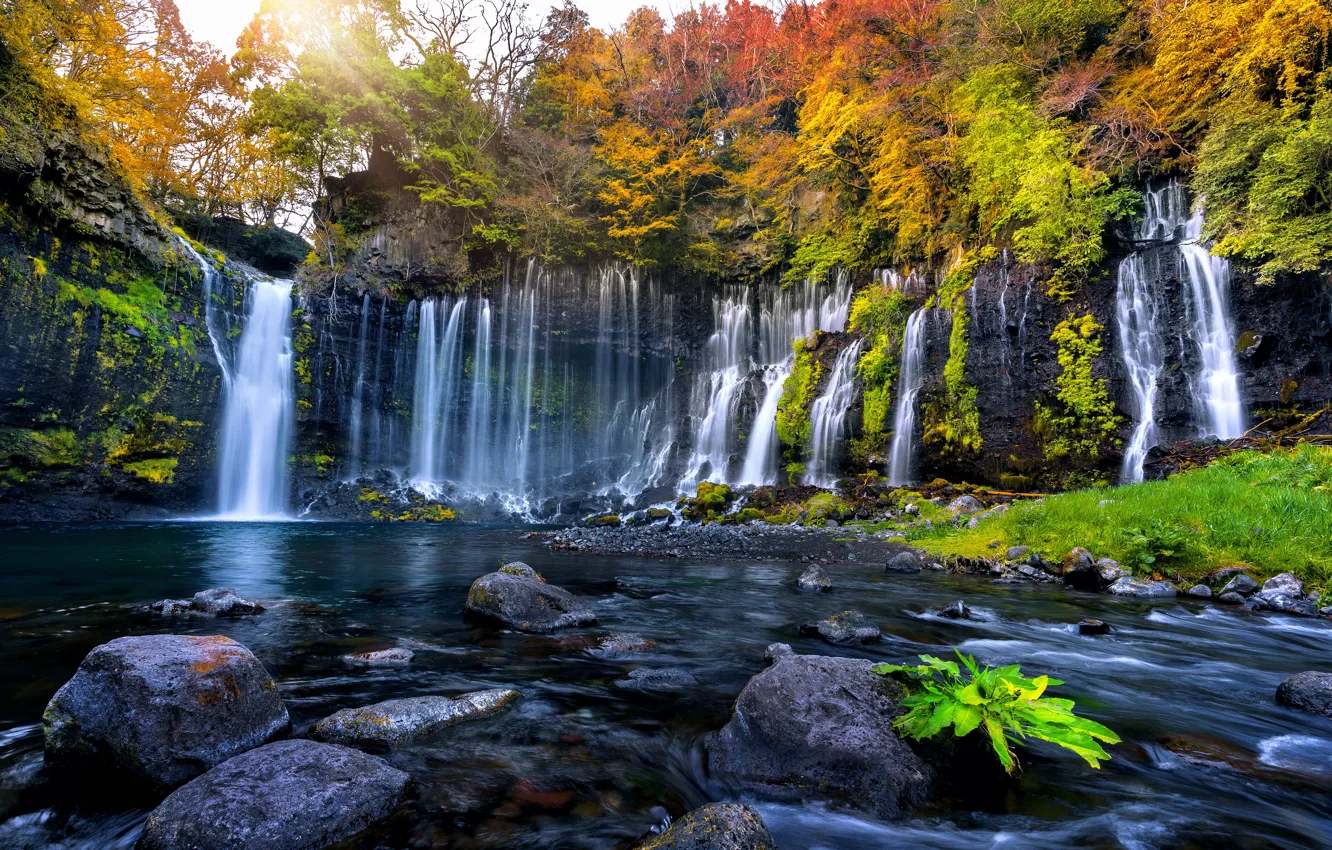 Photo wallpaper autumn, leaves, trees, waterfall, colorful, forest, nature, autumn