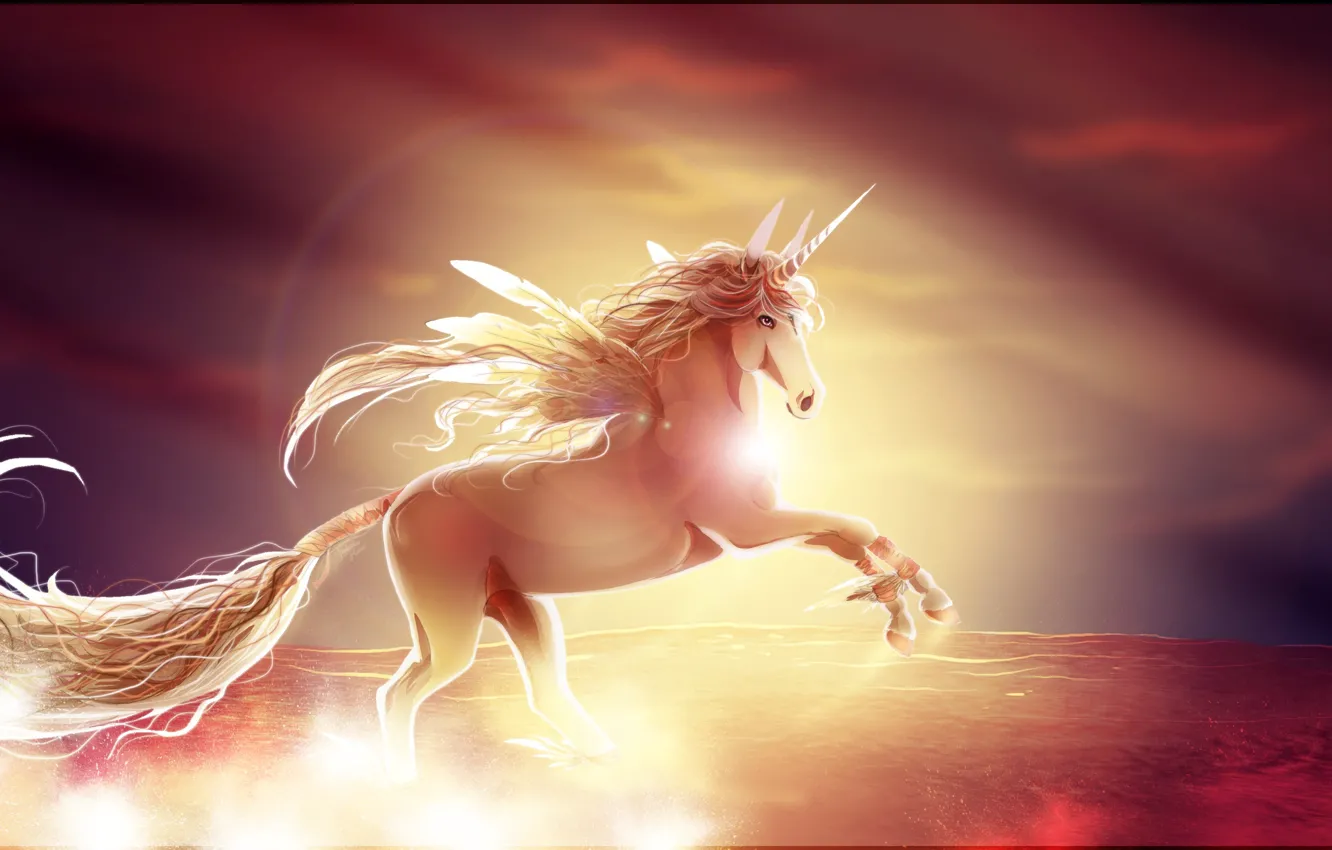 Photo wallpaper sunset, horse, wings, unicorn
