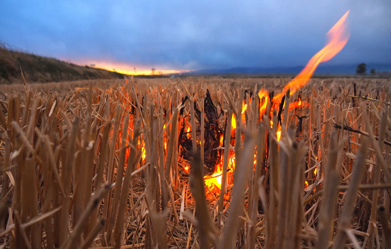 Photo wallpaper field, the sky, clouds, sunset, fire, flame, the stubble