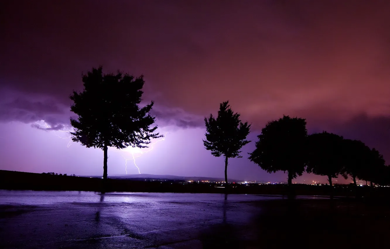 Photo wallpaper trees, lightning, storm