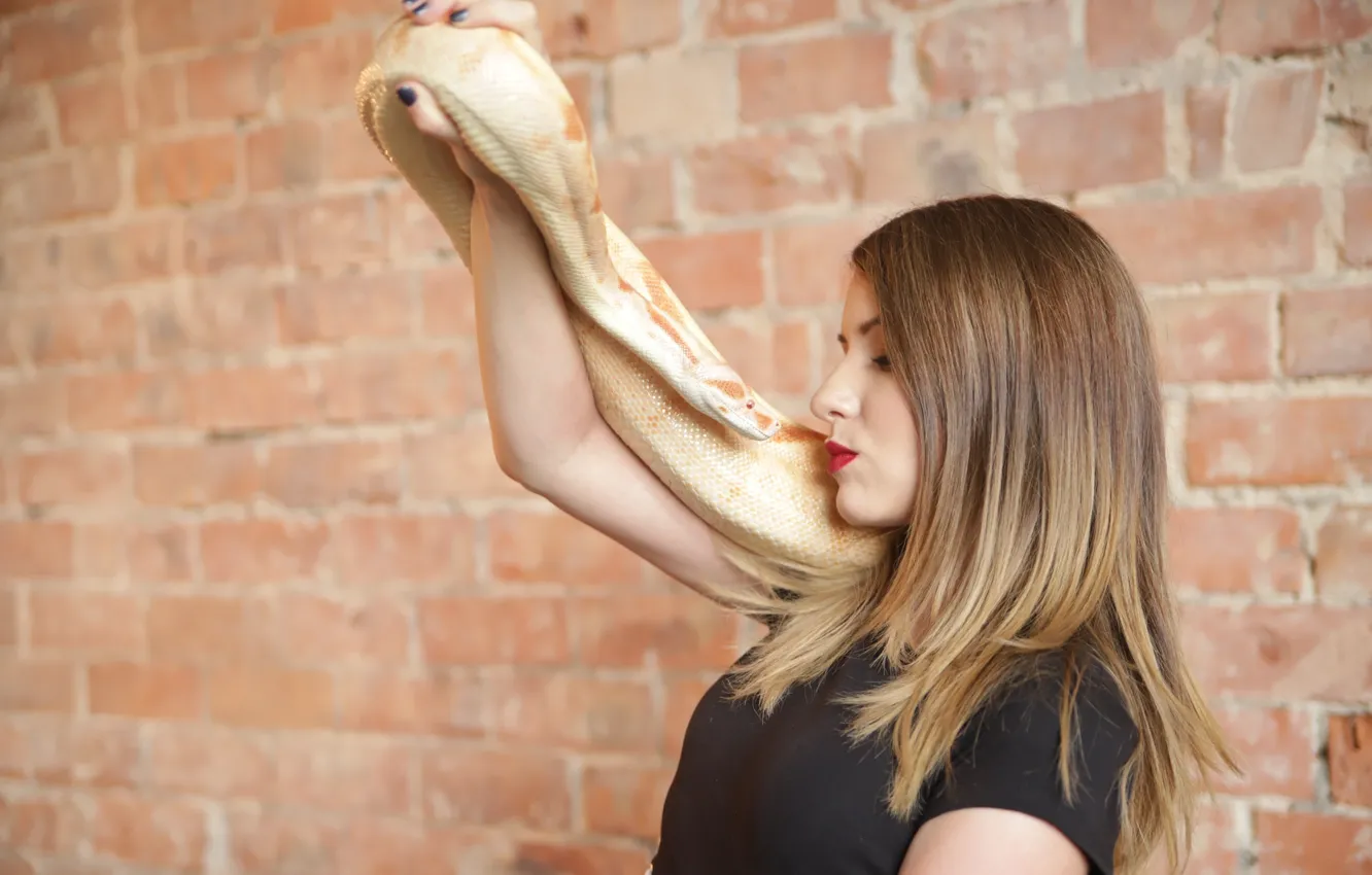 Photo wallpaper girl, wall, snake, beauty, girl