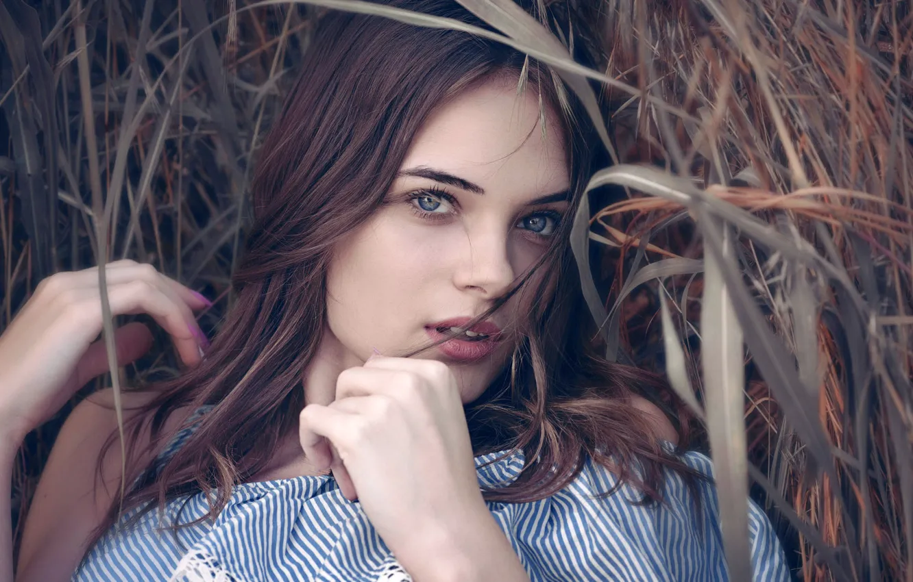 Photo wallpaper grass, look, model, portrait, makeup, hairstyle, brown hair, beauty