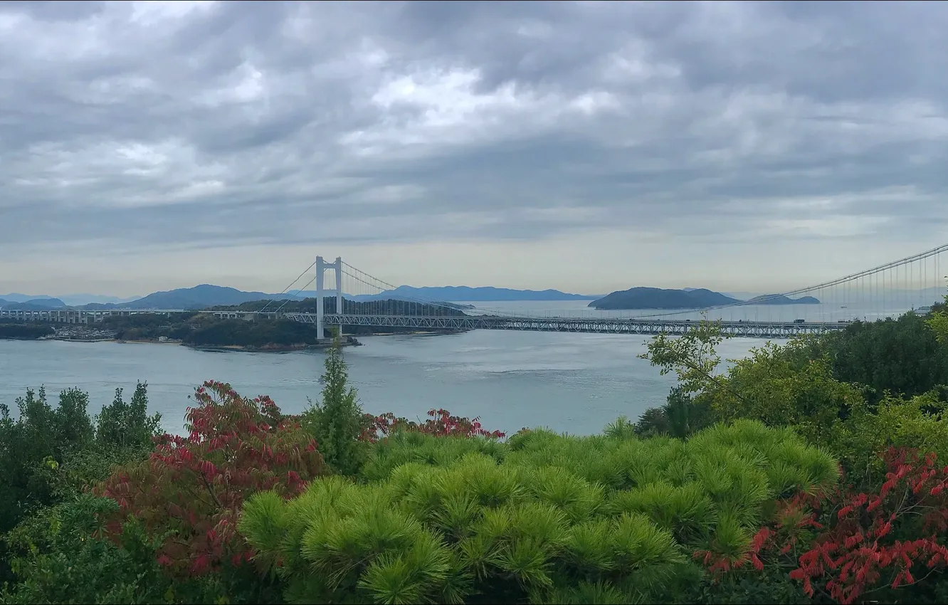 Photo wallpaper bridge, nature, view, island, Japan, Japan, nature, bridge