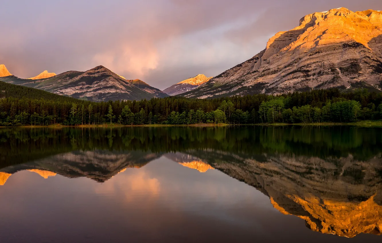 Photo wallpaper forest, the sky, clouds, light, trees, landscape, mountains, nature