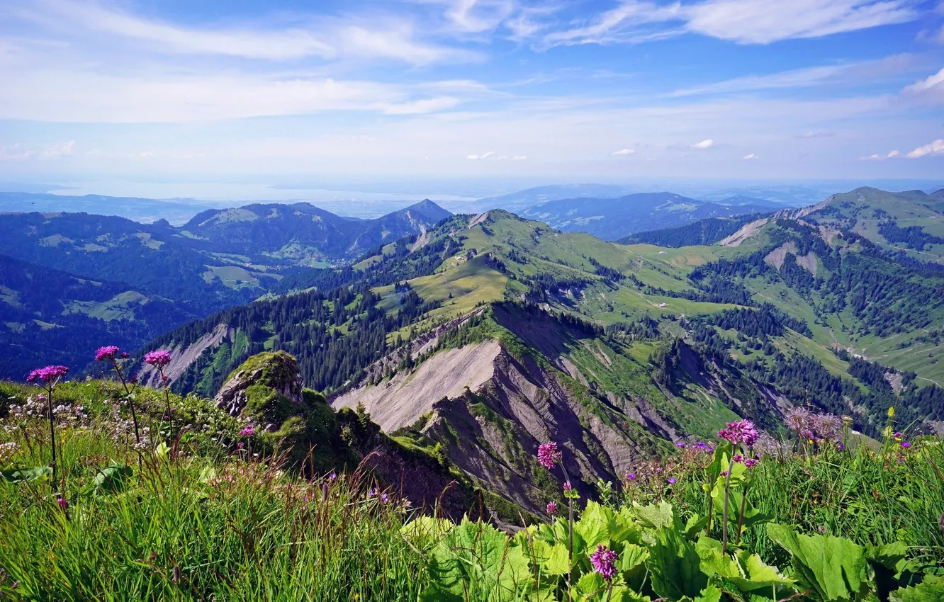 Photo wallpaper the sky, flowers, mountains, meadow