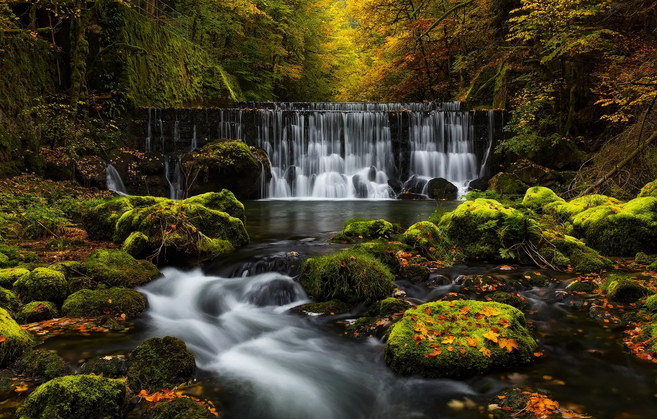 Photo wallpaper autumn, forest, rocks, waterfall