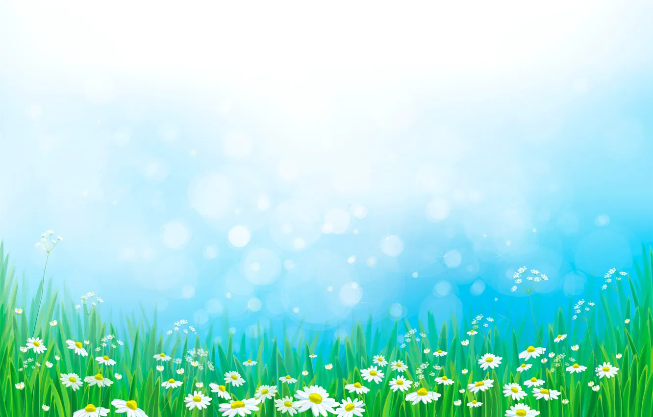 Photo wallpaper grass, chamomile, meadow