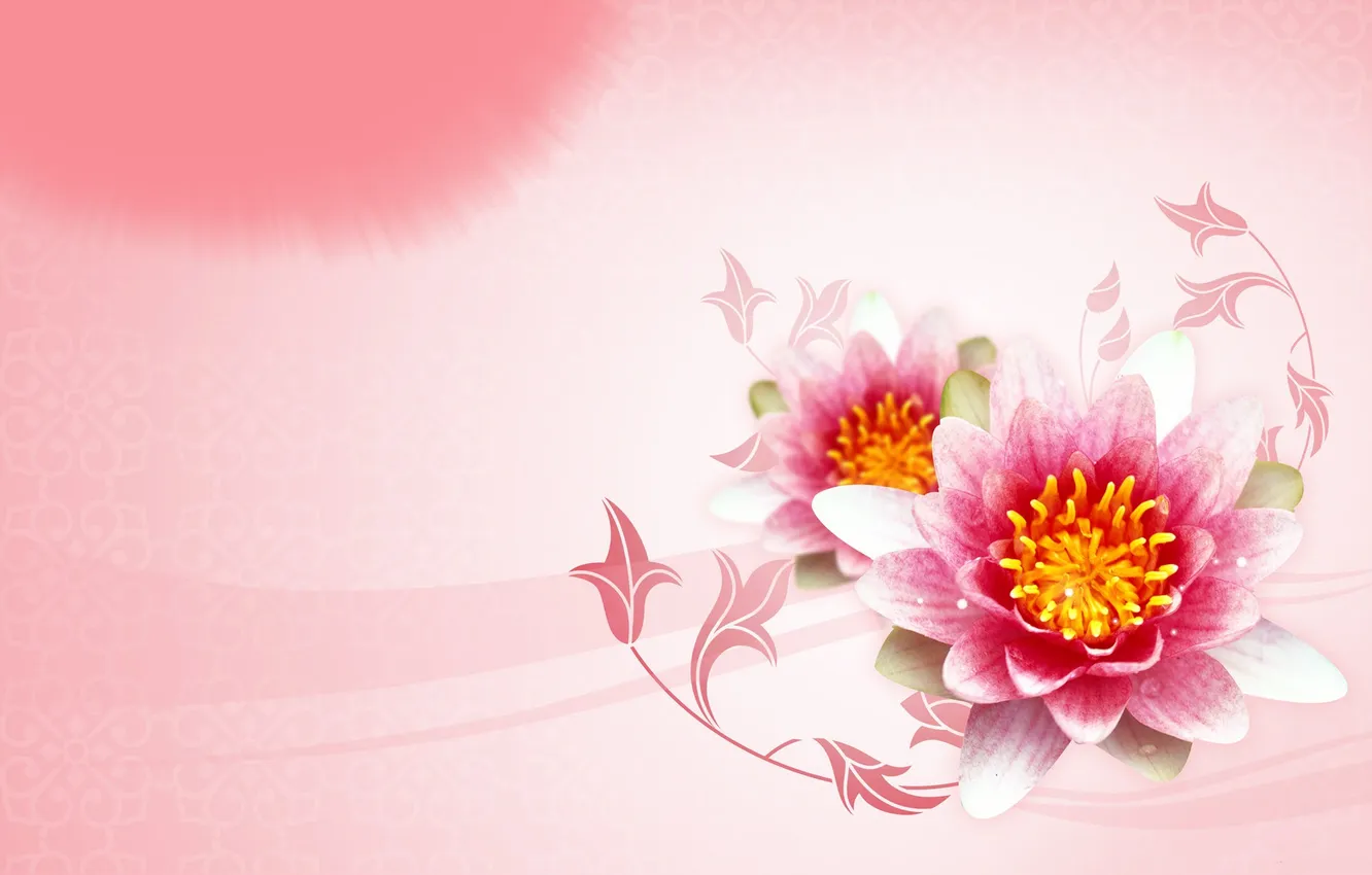 Photo wallpaper flowers, texture, pink, water lilies