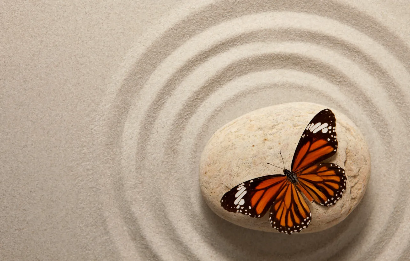 Photo wallpaper sand, butterfly, stone, butterfly, sand, oriental, zen