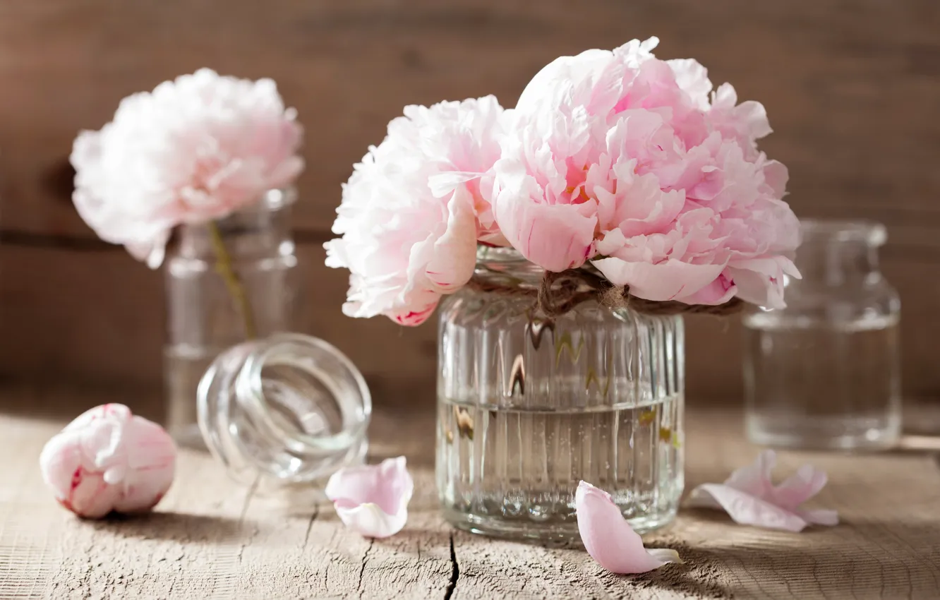 Photo wallpaper flowers, roses, petals, still life, pink flowers, spa