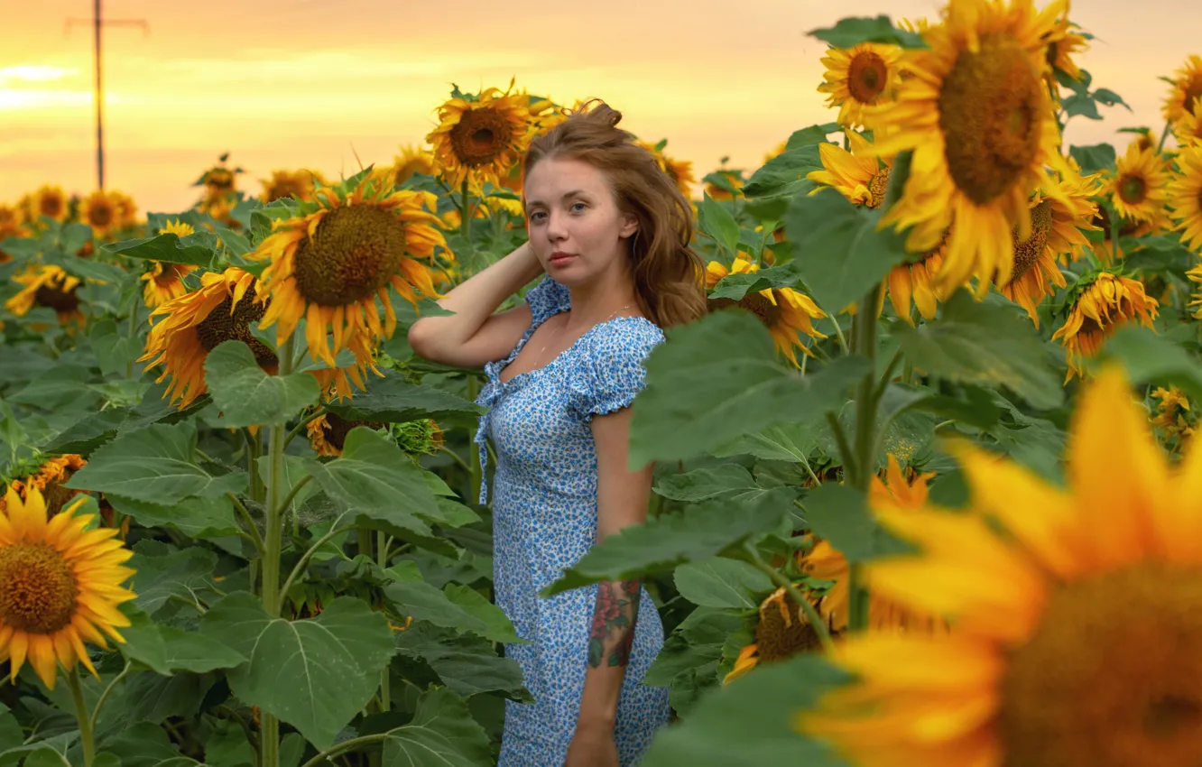 Photo wallpaper look, girl, sunflowers, pose, model, portrait, makeup, figure