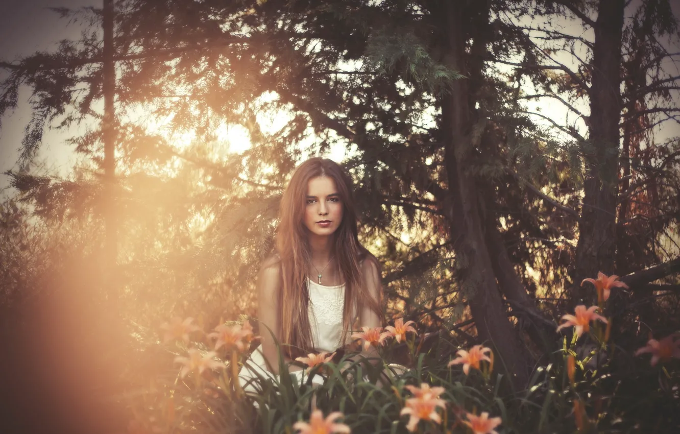 Photo wallpaper girl, light, flowers