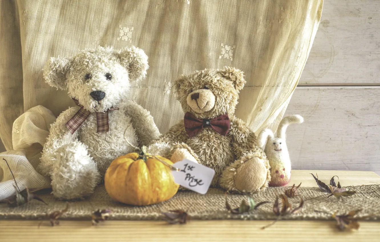 Photo wallpaper toys, bear, pumpkin