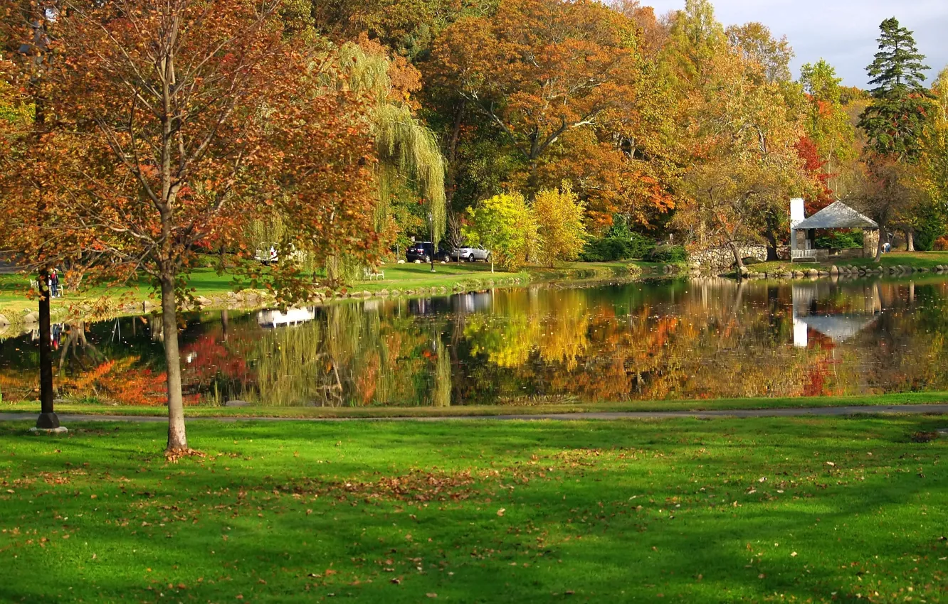Photo wallpaper autumn, trees, nature, pond, reflection, falling leaves, trees, nature