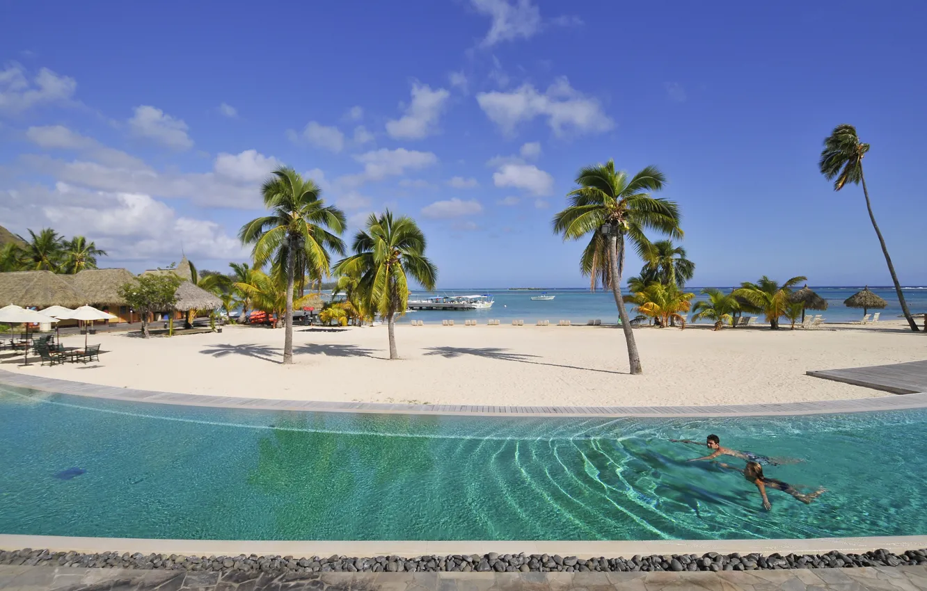 Photo wallpaper beach, palm trees, stay, pool, relax, exotic