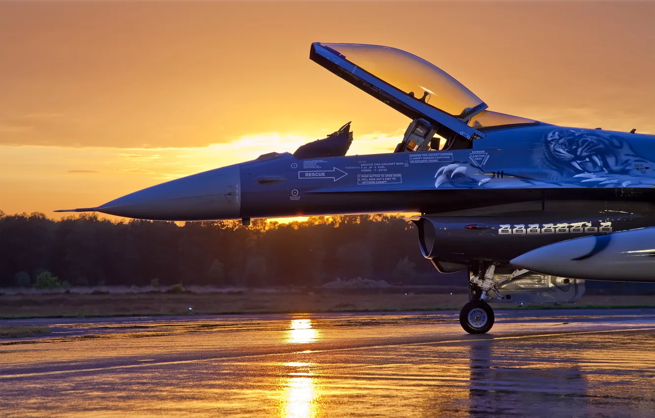 Photo wallpaper forest, the sky, clouds, trees, sunset, the evening, fighter, the plane