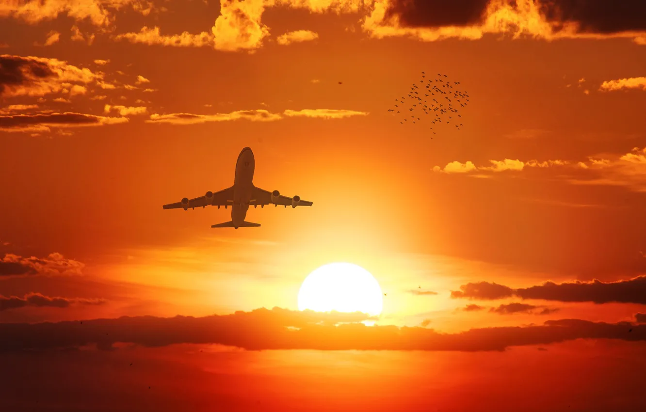 Photo wallpaper the sky, the sun, clouds, flight, sunset, bird, glow, the plane