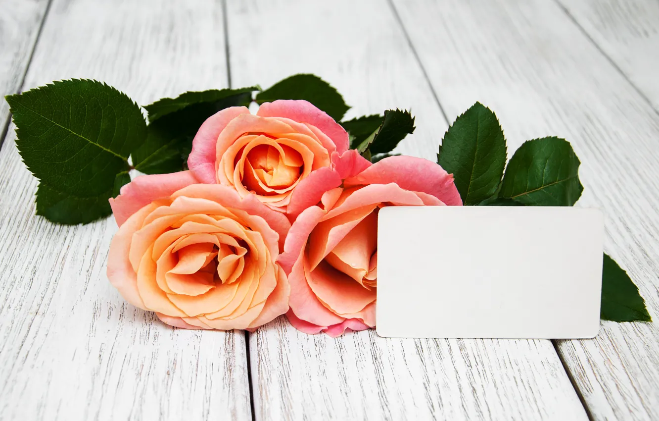 Photo wallpaper flowers, roses, bouquet, pink, wood, pink, roses