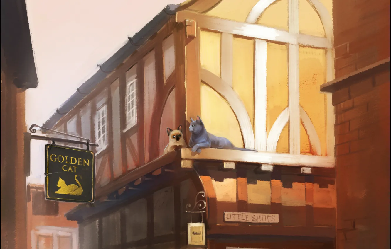 Photo wallpaper cat, cat, street, home, art, sign