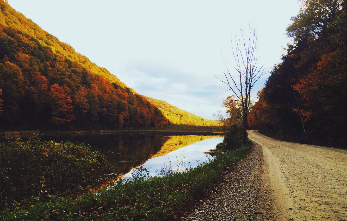 Photo wallpaper road, autumn, trees, lake, pond, gold