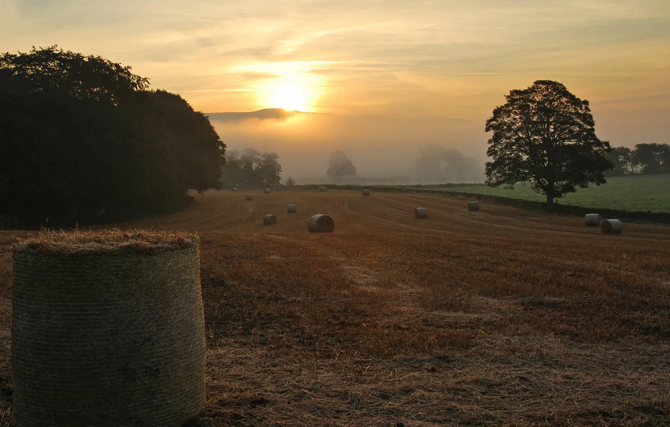 Photo wallpaper field, sunset, hay
